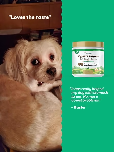 A split-screen ad featuring a testimonial from a satisfied dog owner next to the Digestive Enzymes product container.